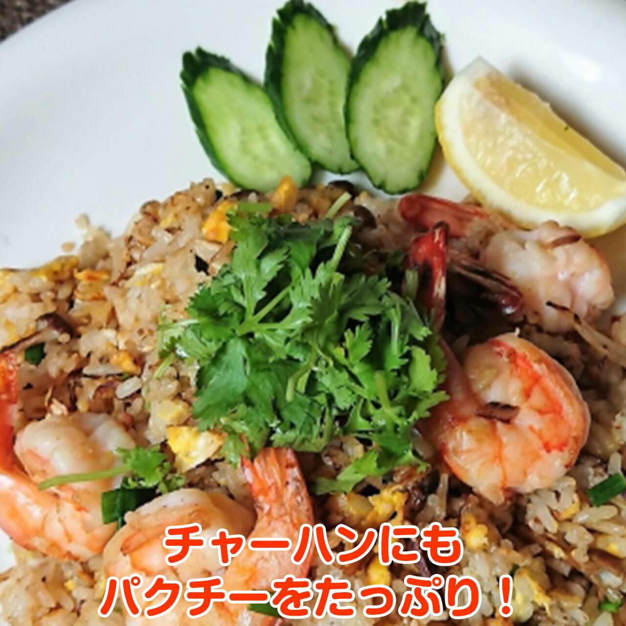 タイ料理や中華料理に必須のハーブ苗 野菜苗 パクチー コリアンダー ハーブ 苗 栽培 ソース 種 レシピ パクチーズ 栄養 パクチードレッシング パクチー鍋 格安人気 パクチーサラダ カレー パクチーラーメン パクチー醤油 パクチーソース スパイス パクチースープ