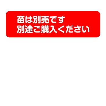 【本日P2倍】ハーブ 栽培キット 苗なし（黒 フェルトプランター Sサイズ かわいい 寄せ植え ハーブティー ハーブガーデン 観葉植物 送料無料 バジル ローズマリー ミント 花苗 苗木 家庭菜園 キット 巣ごもり 鉢植え 土 herb）黒フェルトS 苗なし