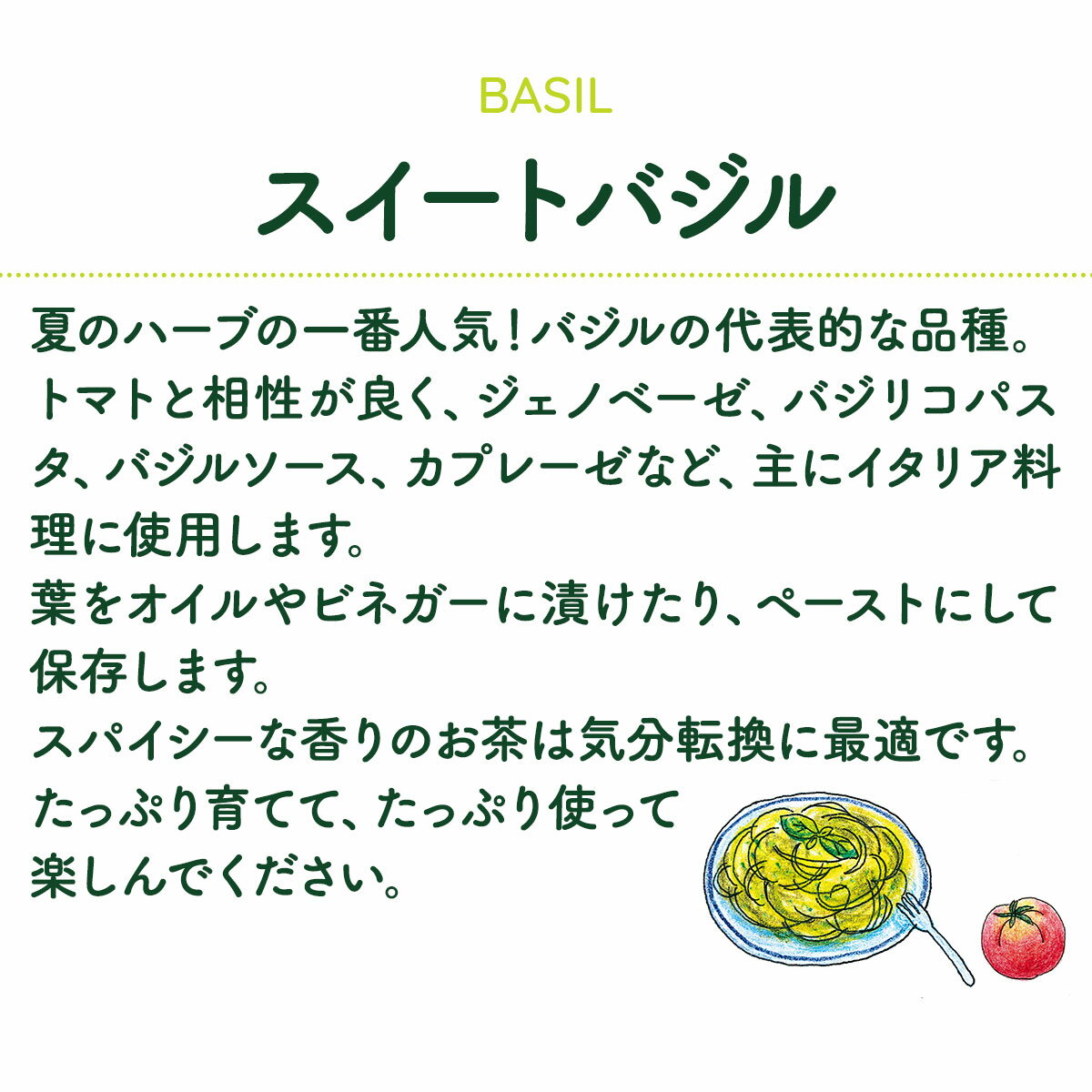【本日P2倍】 苗 スイートバジル（トマト ハーブ 料理 ハーブティー 栽培キット 花...