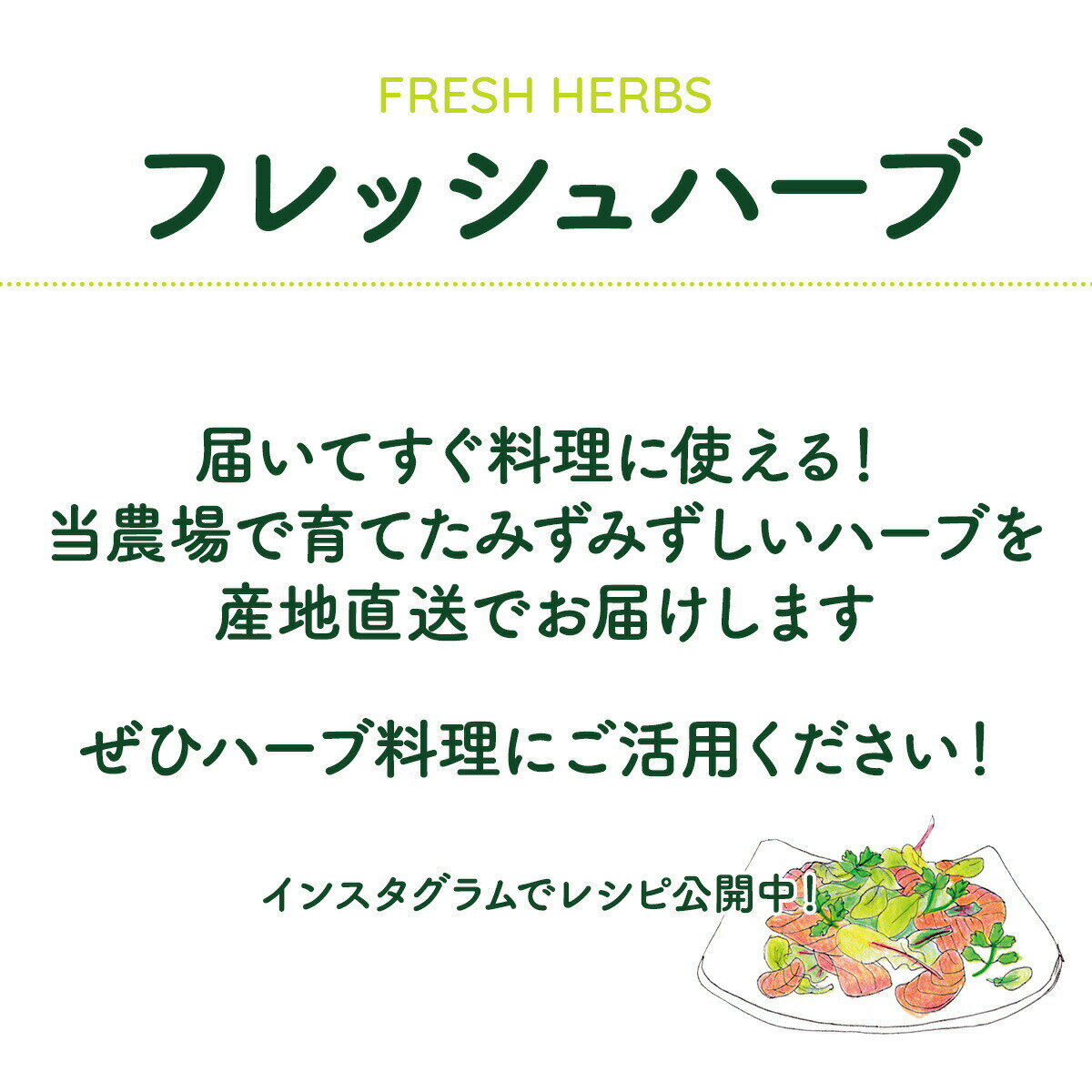 ハーブ 食用 フレッシュ 50g（BBQ 食材セット オレガノ モヒート ミント タイム ディル イタリアンパセリ ローズマリー ハーブティー ミックス 野菜 サラダ 生 業務用 使い方 ギフト スパイス Herb Tea 2