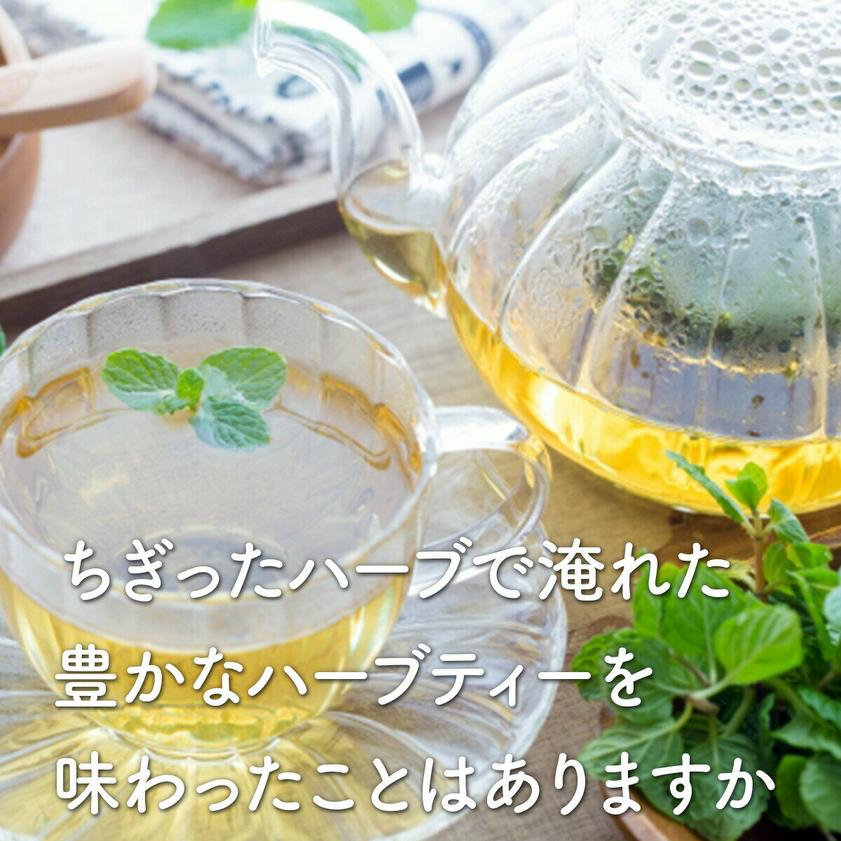 ������P2�ܡ� �ϡ��֥ƥ��� 5�ѥå����åȡʰ�̲ ��̲ ���ե� �� �쥷���� �ϡ�������Ź �ե�å��� ����ƥ��� ����� �Ȥ��� �Υ󥫥ե����� �ƥ����ݥå� ��������herbtime