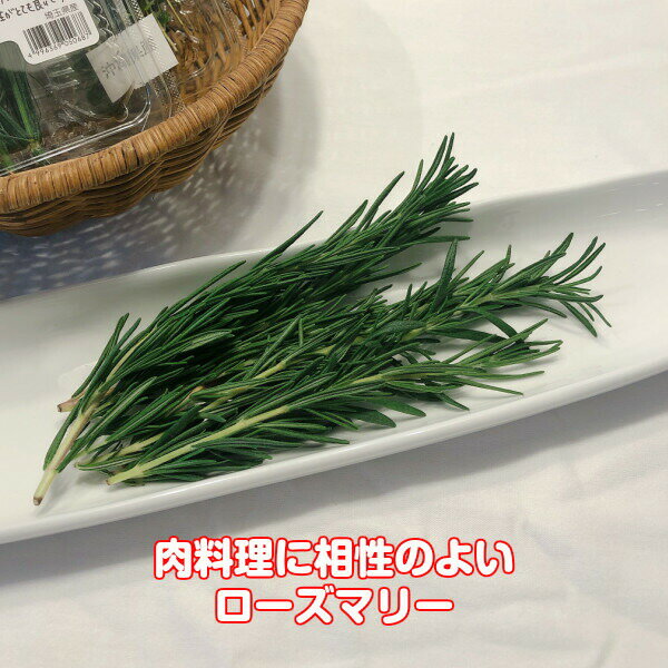献立が決まるフレッシュハーブ ハーブ 食用 ローズマリー 1パック q 食材セット レシピ付 フレッシュハーブ ハーブティー ミックス Tea スパイス サラダ ギフト から厳選した 業務用 Herb 使い方 野菜 生