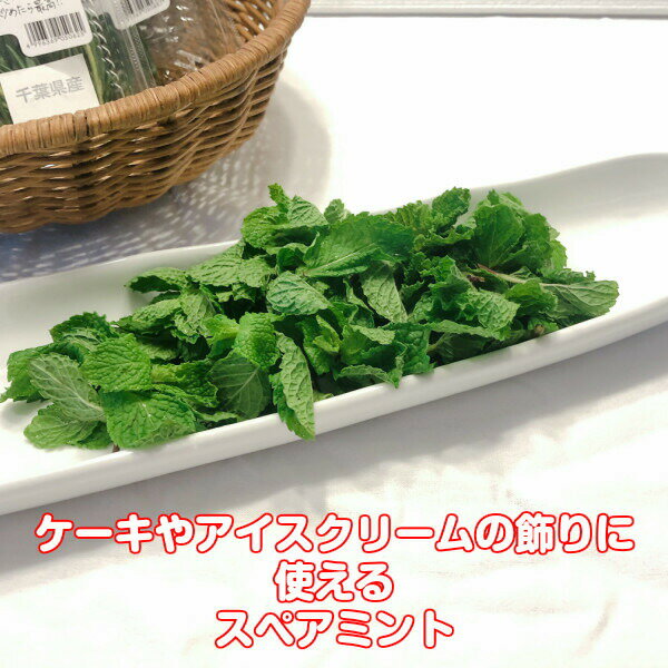 献立が決まるフレッシュハーブ ハーブ 食用 スペアミント 1パック q 食材セットレシピ付 フレッシュハーブ ハーブティー 注目の ミックス スパイス 使い方 業務用 サラダ 生 ギフト Tea Herb 野菜