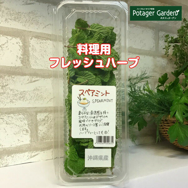 【本日P2倍】 ハーブ 食用 フレッシュ 1パック（BBQ 食材セット レシピ付 フレッシュハーブ ハーブティー ミックス 野菜 サラダ 生 業務用 使い方 ギフト スパイス Herb Tea） potager-10007369 ハーブ苗のポタジェガーデン サンプル画像2