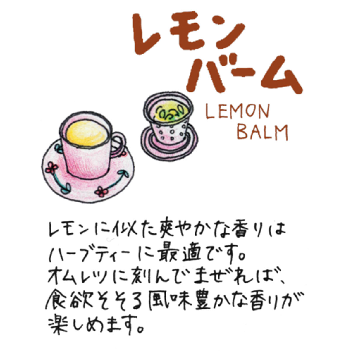 【本日P2倍】 ハーブ 苗 セット レモンバーム 5個（ハーブティー ハーブ苗 寄せ植...