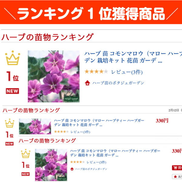 ハーブに憧れていたあの頃 西日と戦うベランダガーデナーのブログ