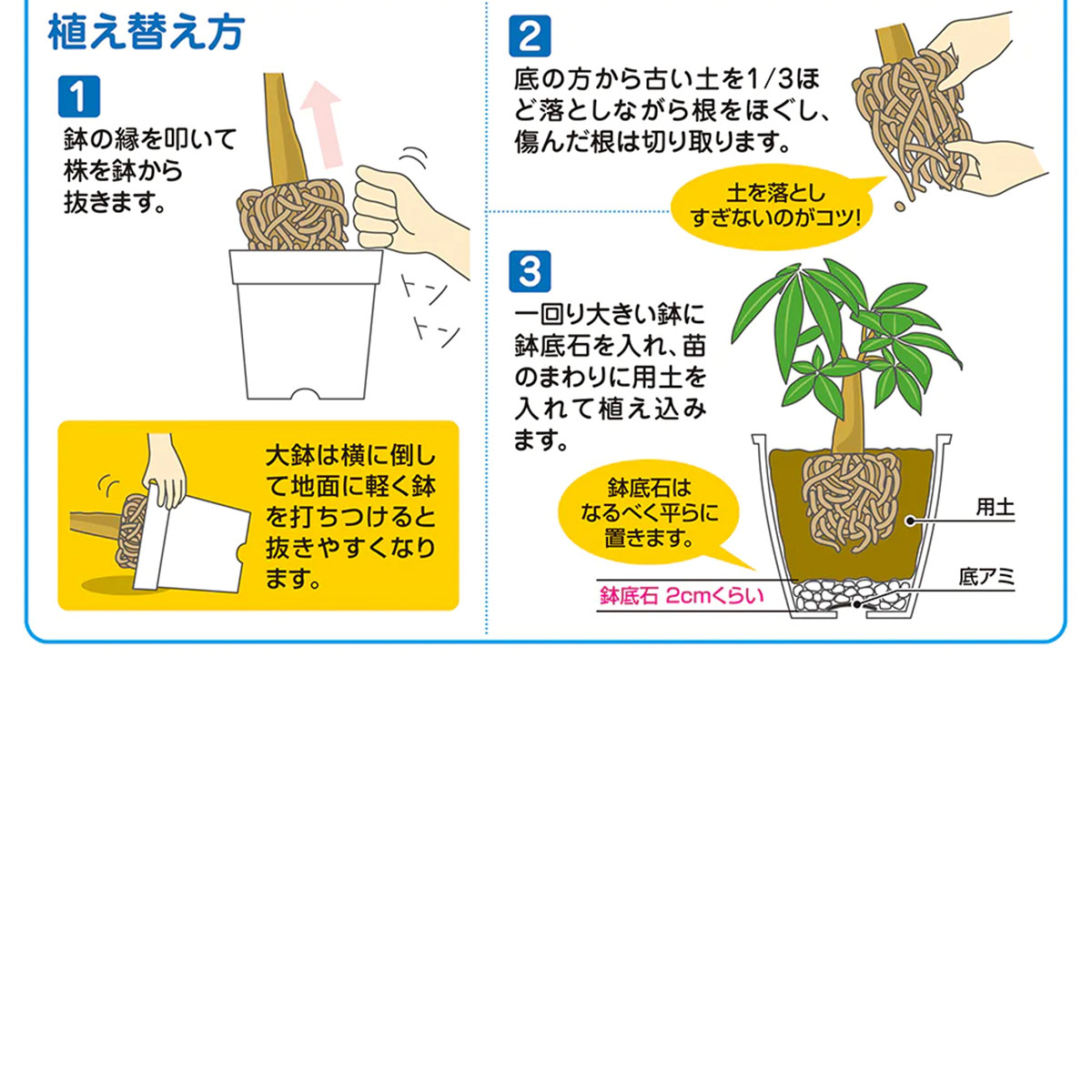 ������P2�ܡ� �����ǥ˥����� ȭ���� �֤����� 2��åȥ�ʤ��줤 2l �����ǥ˥󥰻��� �����ǥ˥� ��γ �ڤ� ���� ȭ�����ѥͥå� �ϡ��� ���տ�ʪ ���� ���� ���ȡ��� �� �֥��å� �� ���� ������ �ե��� ��ʪ �� �� ������� �ץ�󥿡�