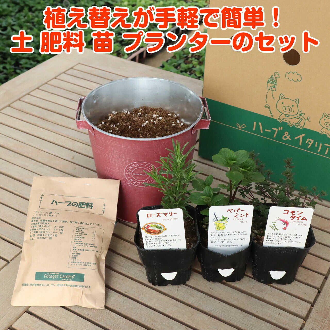 ハーブ苗3個と土 肥料 プランターセット ハーブ 栽培キット Donna M 赤 苗3個 苗 セット ブリキプランター かわいい 寄せ植え ローズマリー スペシャルオファ 家庭菜園 バジル 観葉植物 鉢植え 苗木 ミント ハーブティー 送料無料 花苗 ハーブガーデン Herb 女子力 土