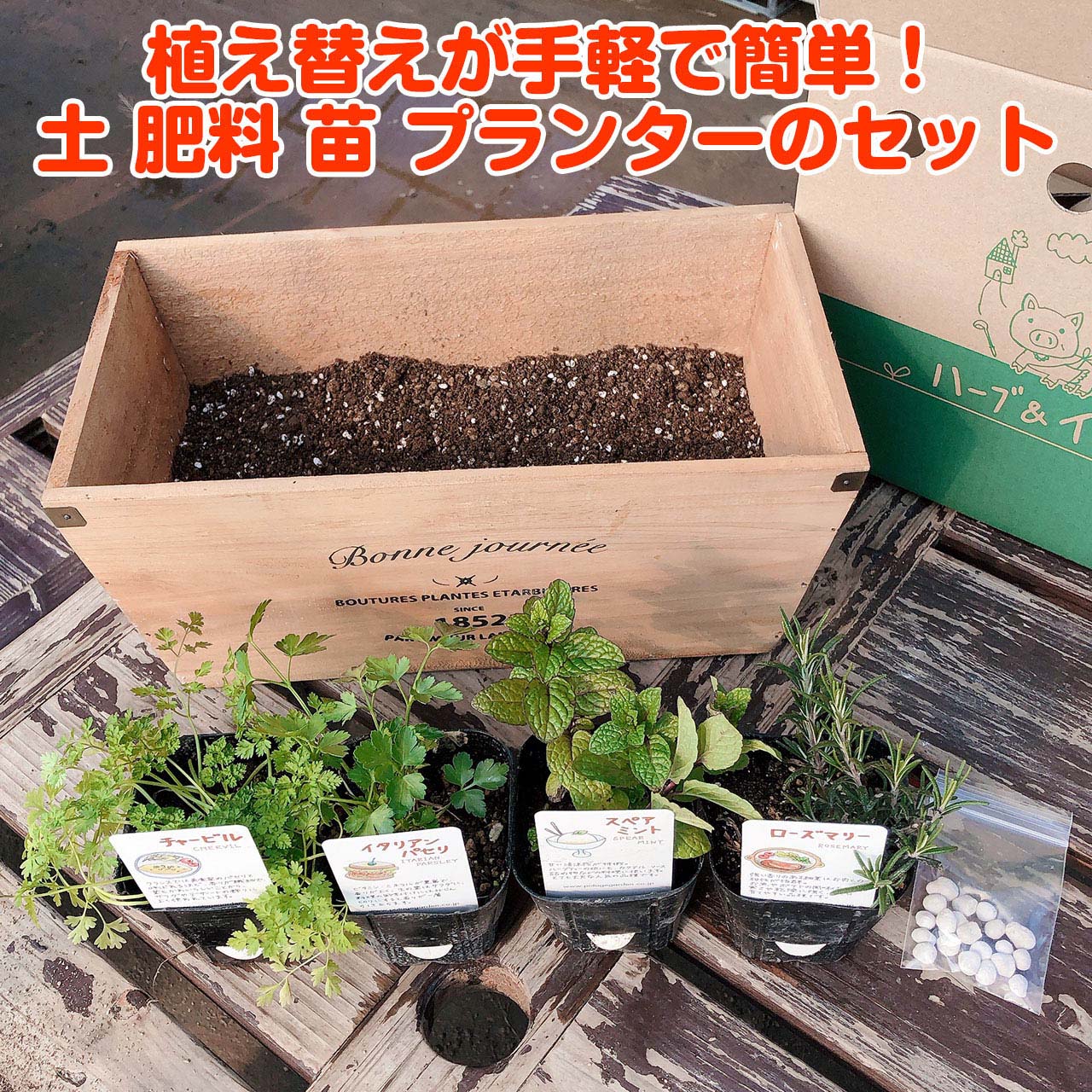 ハーブ苗4個と土 肥料 木製プランター ナチュラルウッドプランター長角l ハーブ 栽培キット 苗 セット かわいい 寄せ植え ハーブティー ハーブガーデン 観葉植物 巣ごもり 土 バジル 苗4個 花苗 Herb 苗木 ローズマリー 家庭菜園 送料無料 キット 鉢植え 年間定番 ミント
