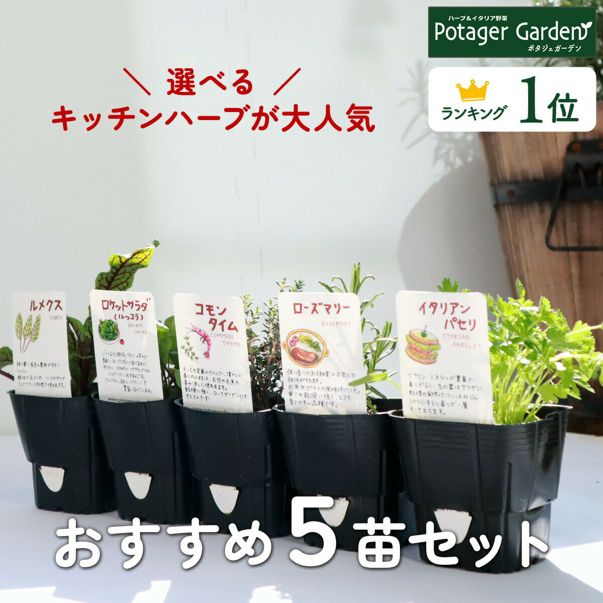 【TV紹介】選べる 苗 セット ハーブ苗 5個 花苗 ガーデニング ハーブティー 料理 おまかせ 初心者 お試し 苗木 寄せ植え 家庭菜園 栽培 送料無料 ハーブガーデン 観葉植物 カモミール ローズマ…