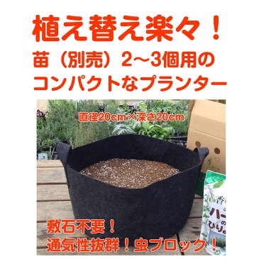 【本日P2倍】ハーブ 栽培キット 苗なし（黒 フェルトプランター Sサイズ かわいい 寄せ植え ハーブティー ハーブガーデン 観葉植物 送料無料 バジル ローズマリー ミント 花苗 苗木 家庭菜園 キット 巣ごもり 鉢植え 土 herb）黒フェルトS 苗なし