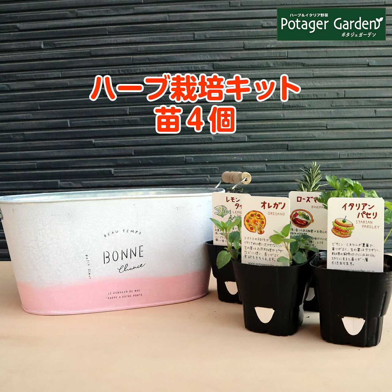 ハーブ苗4個と土 肥料 プランターセット ハーブ 栽培キット パステルツートン ピンク 苗4個 苗 セット ブリキプランター かわいい ブランド雑貨総合 寄せ植え ハーブティー 土 Herb 送料無料 バジル 花苗 女子力 家庭菜園 ミント 鉢植え ハーブガーデン ローズマリー 苗木