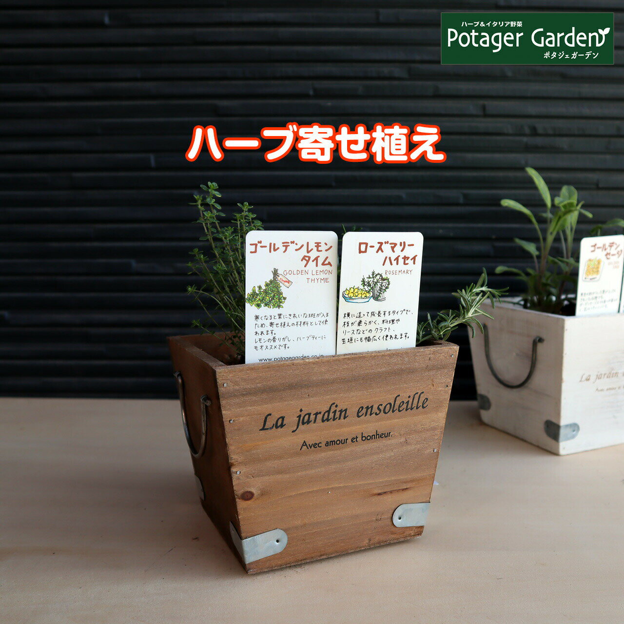 【本日P2倍】 ハーブ 寄せ植え La Jardin 茶 苗 2個（育てる 使う テーマ で選ぶ ハーブの寄せ植え 苗 セット 木製プ…