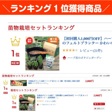 【初回購入1,000円OFF】ハーブ 苗 セット 栽培キット（黒のフェルトプランター かわいい 寄せ植え ハーブティー ハーブガーデン 観葉植物 送料無料 バジル ローズマリー ミント 花苗 苗木 家庭菜園 キット 巣ごもり 鉢植え 土 herb）黒フェルト苗6個