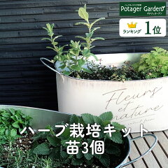 https://thumbnail.image.rakuten.co.jp/@0_mall/potager/cabinet/set/herb-61_00.jpg