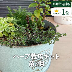 https://thumbnail.image.rakuten.co.jp/@0_mall/potager/cabinet/set/herb-kit59b_00.jpg