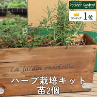 ハーブ 栽培キット La Jardin 茶 苗2個（苗 セット 木製プランター かわいい 寄せ...