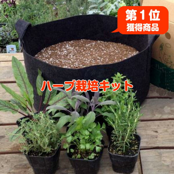 【初回購入1,000円OFF】ハーブ 苗 セット 栽培キット（黒のフェルトプランター かわいい 寄せ植え ハーブティー ハーブガーデン 観葉植物 送料無料 バジル ローズマリー ミント 花苗 苗木 家庭菜園 女子力 ハーブ苗専門店 herb）