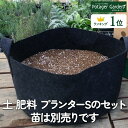 【本日P2倍】 苗 なし プランター おしゃれ 栽培キット 不織布 S(ガーデニング かわ