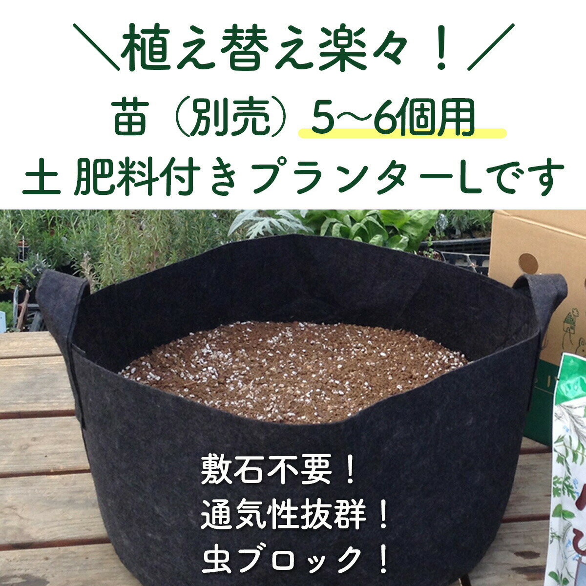 【本日P2倍】 苗 なし プランター おしゃれ 栽培キット 不織布 L（ガーデニング か...