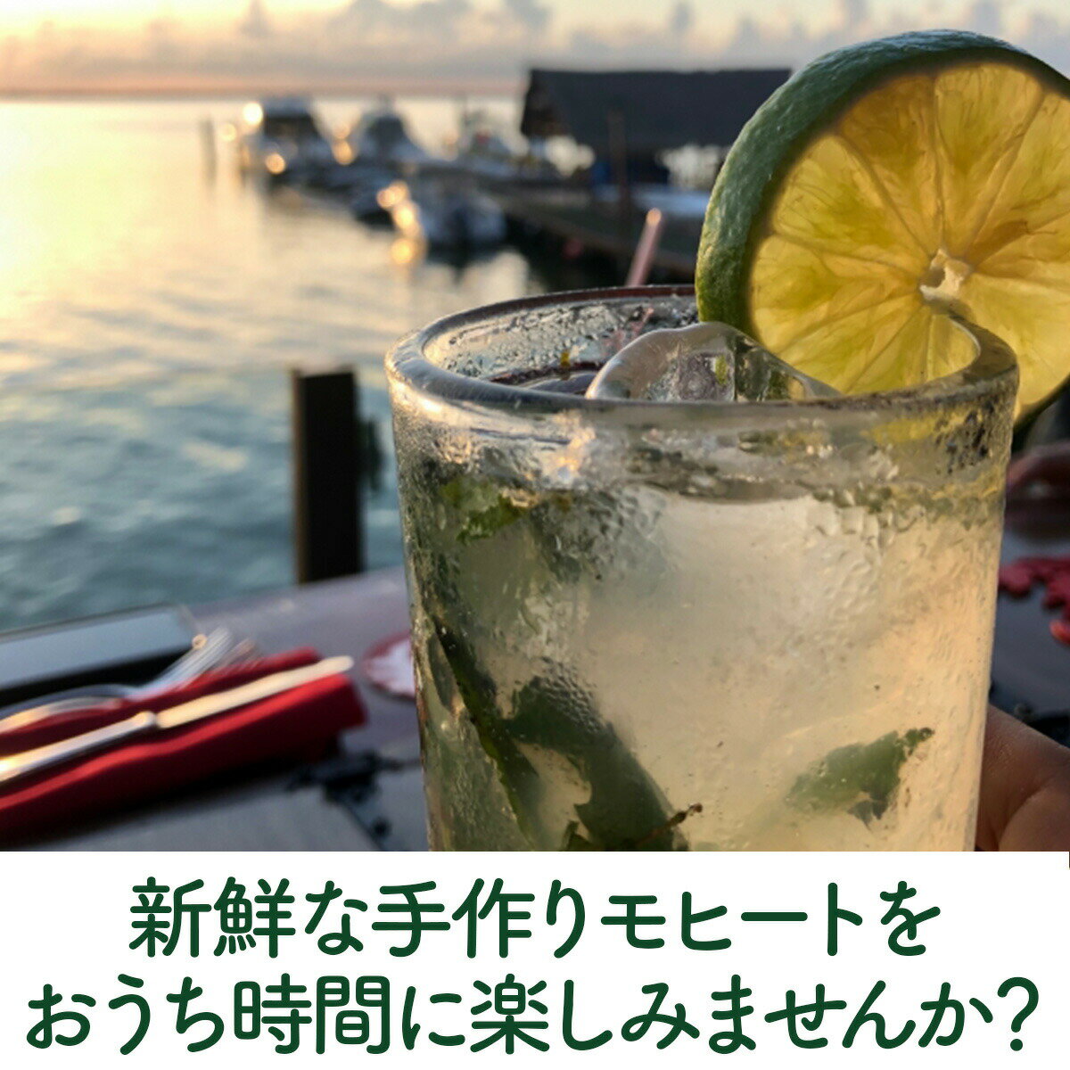 ������P2�ܡ� ����� �ϡ��� �� ������Х֥��ʡ�2024 24ǯ ��ҡ��� �ߥ�� �ꥭ�塼�� �쥷�� �ϡ��֥ƥ��� ȭ���� ������ˡ ����� �Ȥ��� ���� �ץ�󥿡� ���å� ���ݥ��å� �ߥ�ȥ��꡼�� �Х��� �������ޥ꡼ �󤻿��� �����ƥ�˥�ҡ��� �롼�ĥݡ��� S