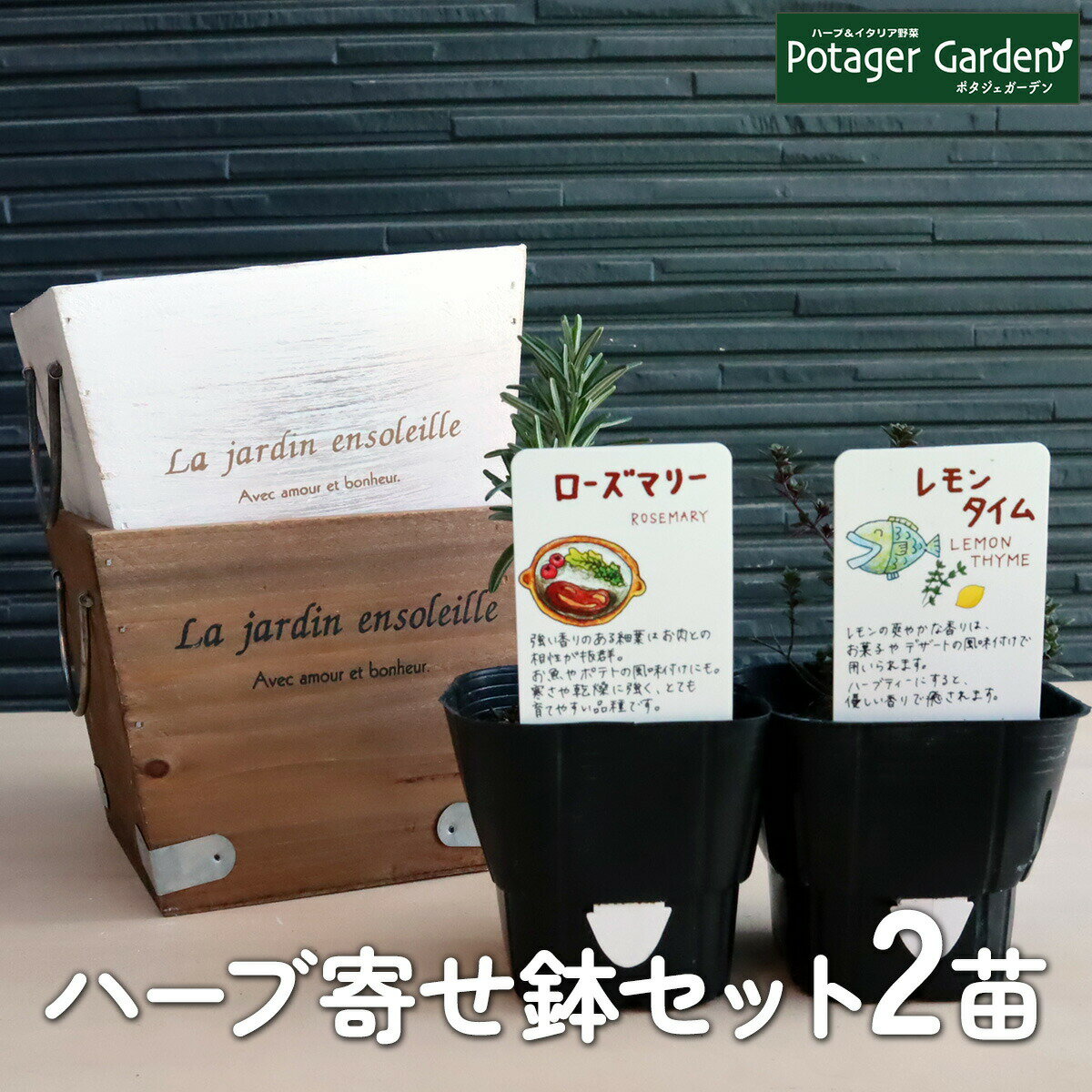 【本日P2倍】 ハーブ 栽培キット 寄せ鉢（木製プランター La Jardin S ガーデニング キッチンハーブ 苗 プランター …