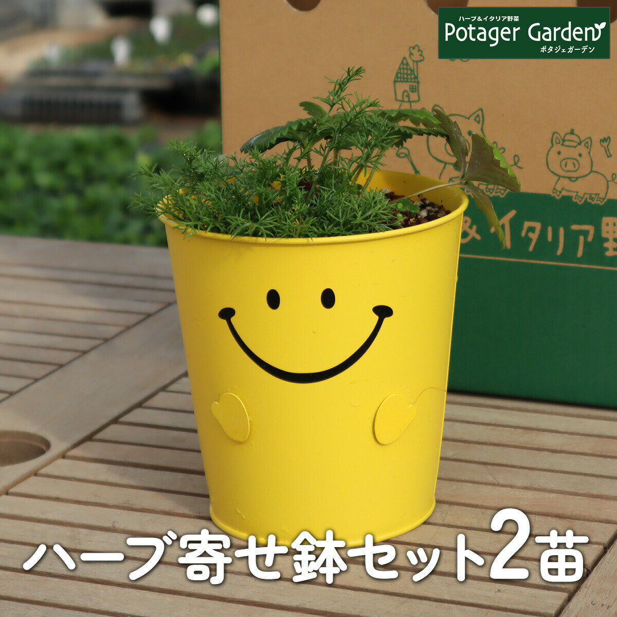 　 寄せ植え かわいい ハーブ 寄せ植えハーブの寄せ植えではなく寄せ鉢です。鉢をいくつも寄せ合わせてかわいいガーデンを作りませんか。ハーブ苗 2個 肥料 土 プランター 2個を送料無料でお届けします。鉢ひとつに、苗ひとつを植えるので、寄せ植えの相性や病気の連鎖の心配が入りません。ハーブガーデン、ハーブティー、ハーブ料理、ガーデニングを趣味として、観葉植物として、ハーブ専門店 苗をお楽しみください。ハーブ寄せ植えは、水耕栽培より土耕栽培がおすすめです。本来、ハーブ、花、野菜などの植物は土からの栄養をいっぱい吸収して育ちます。また、栽培キット 室内よりもベランダで太陽に当てて育てたほうが元気に育ちます。ハーブ 種からは時間がかかるのでタイム、セージ、ミント、バジル 苗、ローズマリー 苗、野菜 苗、花苗など、苗のセットがいちばん手軽に始められます。またハーブには、一年草や多年草、コンパニオンプランツの家庭菜園 キットとして、野菜と一緒に育てることで野菜をおいしく育てる品種もあります。大きく育った苗なので、ガーデニング初心者さんも安心です。ハーブの香りに包まれるナチュラルで優しい毎日をどうぞお楽しみください。風水でも、植物は生命力にあふれ、周りに活気を与えてくれる存在とされています。 ハーブ苗ハーブ専門農場から直送で販売しています。サイズ：9cm／材質：ビニールポット／重さ：約100g／生産地：埼玉県　◎数値は目安です。◎写真は参考でお届けするハーブ苗とは異なります。◎商品に花はついていません。咲く花の色は写真と異なる場合があります。◎ハーブ苗はお届けする時点で元気な苗から選んでいます。◎札差しは異なる場合があります。◎開花期、収穫期、草丈は生育環境などにより異なります。◎苗は6個以上ご購入ください。5個以下の場合、資材費330円がかかる場合があります。 ハーブ 寄せ植え 季節の苗を当店でセレクトしています。セット商品ですので、どうしてもご入用の品種は該当商品をご購入ください。ご了承くださいませ。 ◎写真は参考でお届けするハーブ苗とは異なります。◎商品に花はついていません。咲く花の色は写真と異なる場合があります。◎ハーブ苗はお届けする時点で元気な苗から選んでいます。◎札差しは異なる場合があります。◎刺激の強い品種などございますので使用前に専門書籍などをご参照ください。寄せ植え かわいい ハーブの寄せ鉢セットです。ひとつのプランターに複数苗を植える寄せ植えではなく、ひとつのプランターにひとつの苗を植え、それをいくつか組み合わせる寄せ鉢です。自然にやさしい、植物にやさしい、かわいいフェルトプランター3つ、ハーブ苗 3個、培養土、肥料をセットにしました。送料無料でお届けします。ハーブガーデン、ハーブティー、ハーブ料理、ガーデニングを趣味として、観葉植物として、ハーブ専門店 苗をお楽しみください。ハーブは、水耕栽培より土耕栽培がおすすめです。本来、ハーブ、花、野菜などの植物は土からの栄養をいっぱい吸収して育ちます。また、栽培キット 室内よりもベランダで太陽に当てて育てたほうが元気に育ちます。ハーブ 種からは時間がかかるのでタイム、セージ、ミント、バジル 苗、ローズマリー 苗、野菜 苗、花苗など、苗のセットがいちばん手軽です。またハーブには、一年草や多年草、コンパニオンプランツの家庭菜園 キットとして、野菜と一緒に育てると野菜をおいしく育てる品種もあります。初心者さんも安心です。ハーブの香りに包まれるナチュラルで優しい毎日をお楽しみください。風水では、植物は生命力にあふれ、活気を与えます。 定番ハーブの品種一覧 ローズマリー、タイム、ミント、セージ、バジル（夏のみ）、カモミールなど ※季節や在庫状況に応じてリスト以外のハーブをお届けする場合もあります。 ハーブティー系の品種一覧 ジャーマンカモマイル、ローマンカモマイル、ワイルドストロベリー赤、ワイルドストロベリー白、ボリジ青、ボリジ白、レモンバーム、コモンマロウ、エキナセア、アロマティカス、ステビア、レモンバーベナ、レモングラス、メキシカンスイートハーブ、スペアミント、ペパーミント、アップルミント ※季節や在庫状況に応じてリスト以外のハーブをお届けする場合もあります。 　 キッチン系の品種一覧 イタリアンパセリ、チャービル、ディル、コリアンダー、オレガノ、ルッコラ、モスカールドパセリ、スイートフェンネル、スイートマジョラム、チャイブ、ガーリックチャイブ、アシタバ、セルバチコ、スープセロリ、コモンタイム、レモンタイム、ガーデンセージ、ローズマリー ※季節や在庫状況に応じてリスト以外のハーブをお届けする場合もあります。 ガーデニング系の品種一覧 カレープラント、キャットニップ、レモンキャットニップ、除虫菊、タンジー、ヒソップ白、ヒソップピンク、ヒソップ紫、フィーバーフューゴールド、ブロンズフェンネル、フレンチソレル、ヤロウ白、ラムズイヤー、ルー、ルメクス、ベルガモットレッド、フレンチタイム、クリーピングタイム、フォックスリータイム、ゴールデンレモンタイム、シルバータイム、シルバーレモンタイム、ドーンバレータイム、フローレンスフェンネル、ペニーロイヤルミント、ガーデンセージ、ラベンダーセージ、ボックセージ、メドーセージ、プラテンシス、メキシカンブッシュセージ、チェリーセージ、ホットリップス、クラリーセージ、ペインテッドセージ白、ペインテッドセージピンク、ペインテッドセージ紫、ゴールデンセージ、パープルセージ、トリカラーセージ、ローズマリー（立性、這性、ウッド、レックス、マリンブルー、トスカーナ、ピンク、ホワイト、モーツァルトブルー、ディープブルー、アープ、ジョサップ） ※季節や在庫状況に応じてリスト以外のハーブをお届けする場合もあります。 秋冬おすすめレタス系の品種一覧 ロロロッサ、ロロビオンタ、ロメイン、エンダイブ、カステルフランコ、チコリなど ※季節や在庫状況に応じてリスト以外のハーブをお届けする場合もあります。 めずらしいハーブの品種一覧 エキナセア、マロウ、ボリジ、ワイルドストロベリー、メキシカンスイートハーブ、フェンネル、スープセロリ、セルバチコ、レッドオーク、タアサイ、アーティーチョーク、コールラビ、レッドエーカー、カステルフランコ、チコリ、カレープラント、キャットニップ、除虫菊、タンジー、ヒソップ、フィーバーヒュー、ヤロウ、ラムズイヤー、ルー、ルメクス、キャラウェイ、ベルガモット、めずらしいミント、タイム、ローズマリー、セージなど ※季節や在庫状況に応じてリスト以外のハーブをお届けする場合もあります。 ハーブ苗 ハーブ専門農場から直送で販売しています。サイズ：9cm／材質：ビニールポット／重さ：約100g／生産地：埼玉県　◎数値は目安です。◎写真は参考でお届けするハーブ苗とは異なります。◎商品に花はついていません。咲く花の色は写真と異なる場合があります。◎ハーブ苗はお届けする時点で元気な苗から選んでいます。◎札差しは異なる場合があります。◎開花期、収穫期、草丈は生育環境などにより異なります。◎苗は6個以上ご購入ください。5個以下の場合、資材費330円がかかる場合があります。 プランター 素材：ブリキ製スマイル柄／サイズ：S （直径約14cm×深さ約14.5cm） ハーブ 苗 選んでいただいたテーマの中から、季節の苗を当店でセレクトします。セット商品ですので苗はあくまで当店の選定となります。ご了承くださいませ。 注意事項 ◎写真は参考でお届けするハーブ苗とは異なります。◎商品に花はついていません。咲く花の色は写真と異なる場合があります。◎ハーブ苗はお届けする時点で元気な苗から選んでいます。◎札差しは異なる場合があります。◎刺激の強い品種などございますので使用前に専門書籍などをご参照ください。