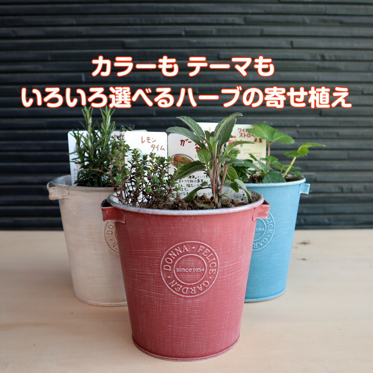 ハーブ苗セット