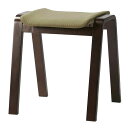 TSC-117 ダイニングチェア グリーン2脚セット スタッキングチェア 重ねて収納! サブチェア オットマン シンプル布チェア 玄関 補助チェア スツール ダ...