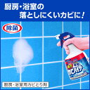 花王 強力カビハイター つけかえ用 1000mL 業務用 1Lx6本入り 塩素系洗浄剤 3