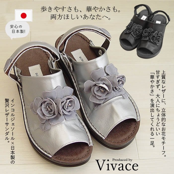 šù⤵б⤭䤹󥳥른󥳥른奦åǥ쥵ӡǥ١22.5cm24.5cmХʥʥҡ륵/ڥӥСۥƥå֥٥ȥ쥶