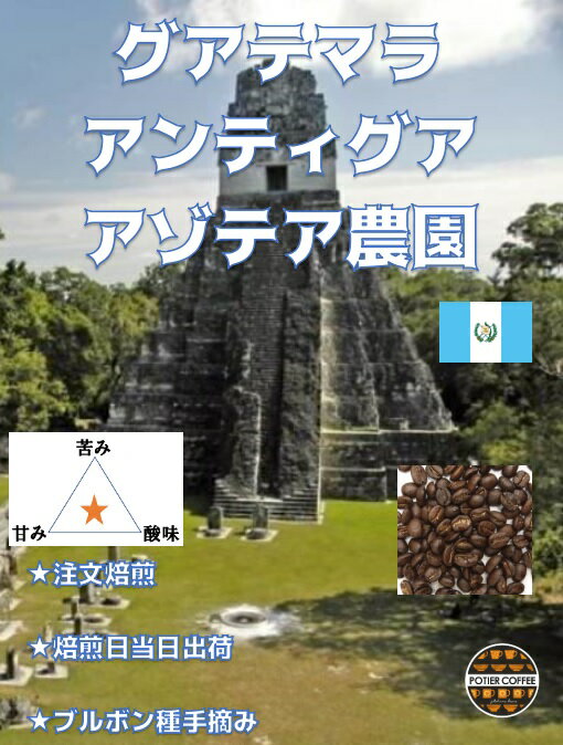 グアテマラ　アンティグア　アゾテア農園　150gブルボン種　世界遺産 コーヒー豆 焙煎コーヒー豆 珈琲豆 生豆 焙煎豆 豆 ストレート コーヒー 自家焙煎 珈琲 焙煎 煎りたて 新鮮 中細挽き お取り寄せ 美味しい選べる焙煎度合 浅煎り 中煎り 深煎り