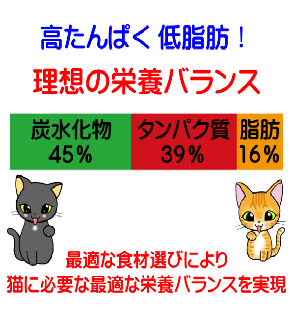 送料無料 国産 無添加 安心 安全 キャットフ...の紹介画像3