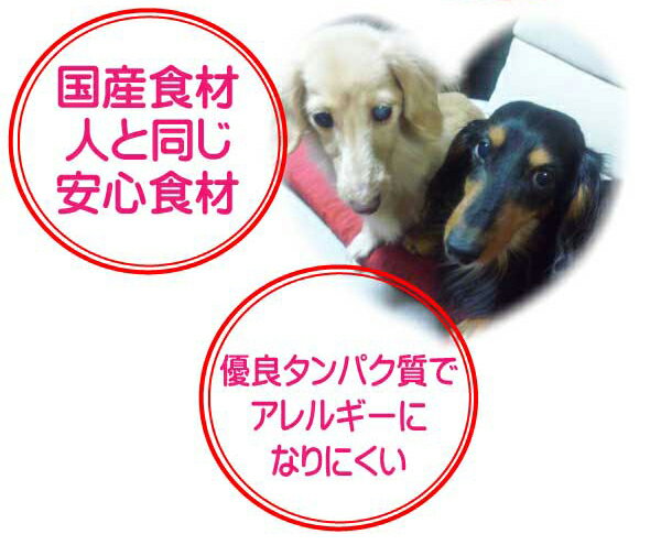 国産 無添加 自然食 健康 こだわり食材 ジビエ ドッグフード 愛犬ワンダフル 鹿肉 馬肉 800ｇ お得な 4個 3 2kg セット 普通 小粒 全犬種対応 ドライフード 低カロリー 高たんぱく 低