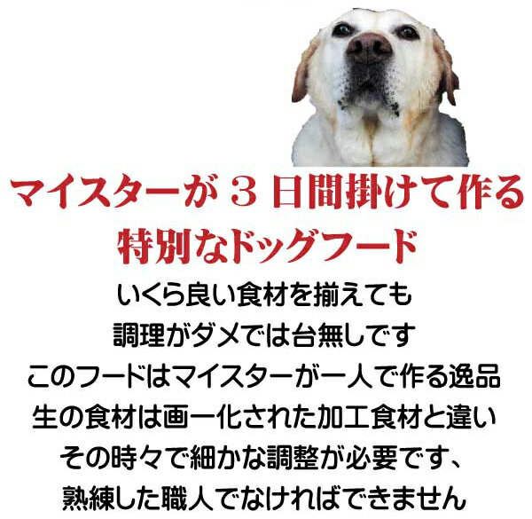 国産 無添加 自然食 健康 こだわり食材 ドックフード お米のドッグフード グルテンフリー 馬肉タイプ 800g 4個セット 全犬種対応 アレルギー 高たんぱく 低脂肪 食いつき シニア犬 涙や