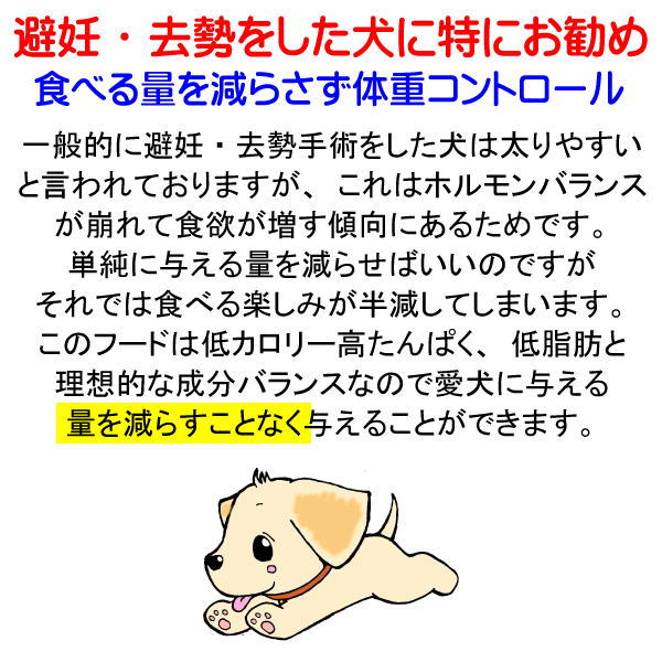 激安ブランド 国産 無添加 自然食 健康 ジビエ ドッグフード 愛犬ワンダフル 鹿肉タイプ 800g 4個 3 2kg セット 普通粒 小粒から選べます 全犬種対応 ドライフード 低カロリー 高たんぱく 低脂肪 食いつき ダイエット シニア犬 ドックフード ペットフード 高齢犬 激安ブランド 国産 無添加 自然食 健康 ジビエ ドッグフード 愛犬ワンダフル 鹿肉タイプ 800g 4個 3 2kg セット 普通粒 小粒から選べます 全犬種対応 ドライフード 低カロリー 高たんぱく 低脂肪 食いつき ダイエット シニア犬 ドックフード ペットフード 高齢犬