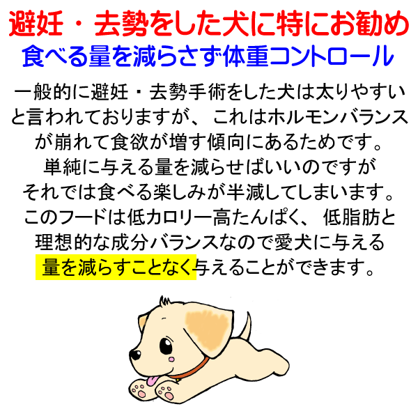 激安ブランド 国産 無添加 自然食 健康 ジビエ ドッグフード 愛犬ワンダフル 鹿肉タイプ 800ｇ ４個 3 2kg セット 普通粒 小粒から選べます 全犬種対応 ドライフード 低カロリー 高たんぱく 低脂肪 食いつき ダイエット シニア犬 ドックフード ペットフード 高齢犬