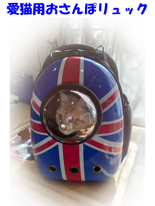 スーパーDEAL20％ポイントバック 猫用 キャリーバッグ リュック 猫 ペット 可愛い バックパック ドーム型窓 バック リュック ペットバッグ 旅行 お出かけ 散歩　お散歩 おさんぽ ペットリュック