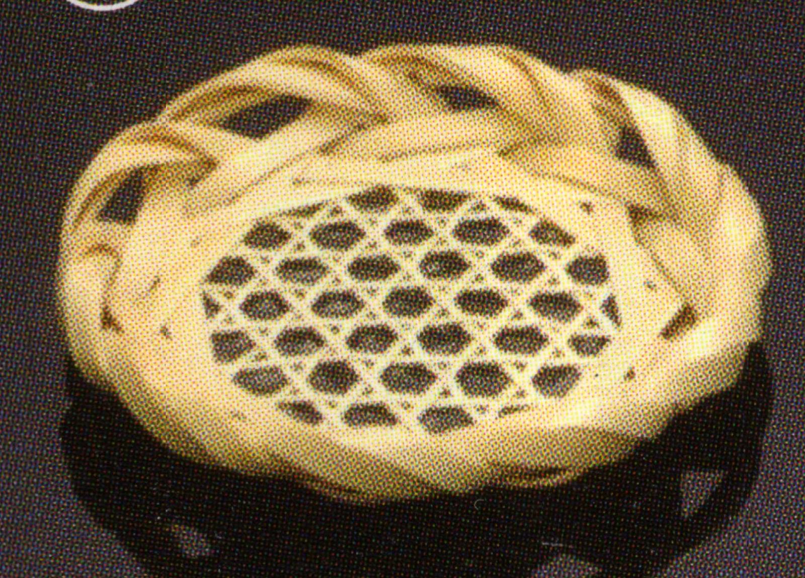 白竹六ッ目茶托　大(来客用　接客　夏用　お茶うけ）