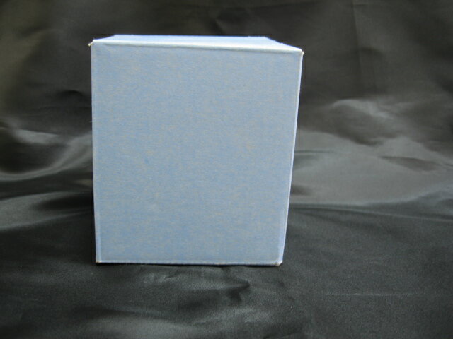 クープシャンパングラス用1個箱 L