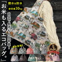 送料無料 1000円 ポッキリ エコバッグ 大きい サイズ 耐荷重30kg 縦40cm 横50cm 重量 約 80g コンパクト 防水 撥水 大容量 しっかり 軽い 軽量 丈夫 薄い 横型 収納 簡単 マチ広 レジカゴ トート 母の日 父の日 端午 プレゼント 景品 贈答 袋一体 内側ポケット 畳んで 収納