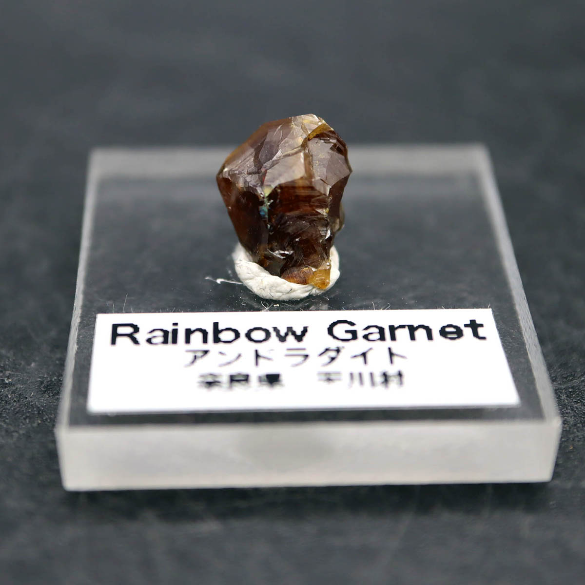 レインボーガーネット 奈良県 天川村 5.5ct アクリル台座付き 1月の誕生石...