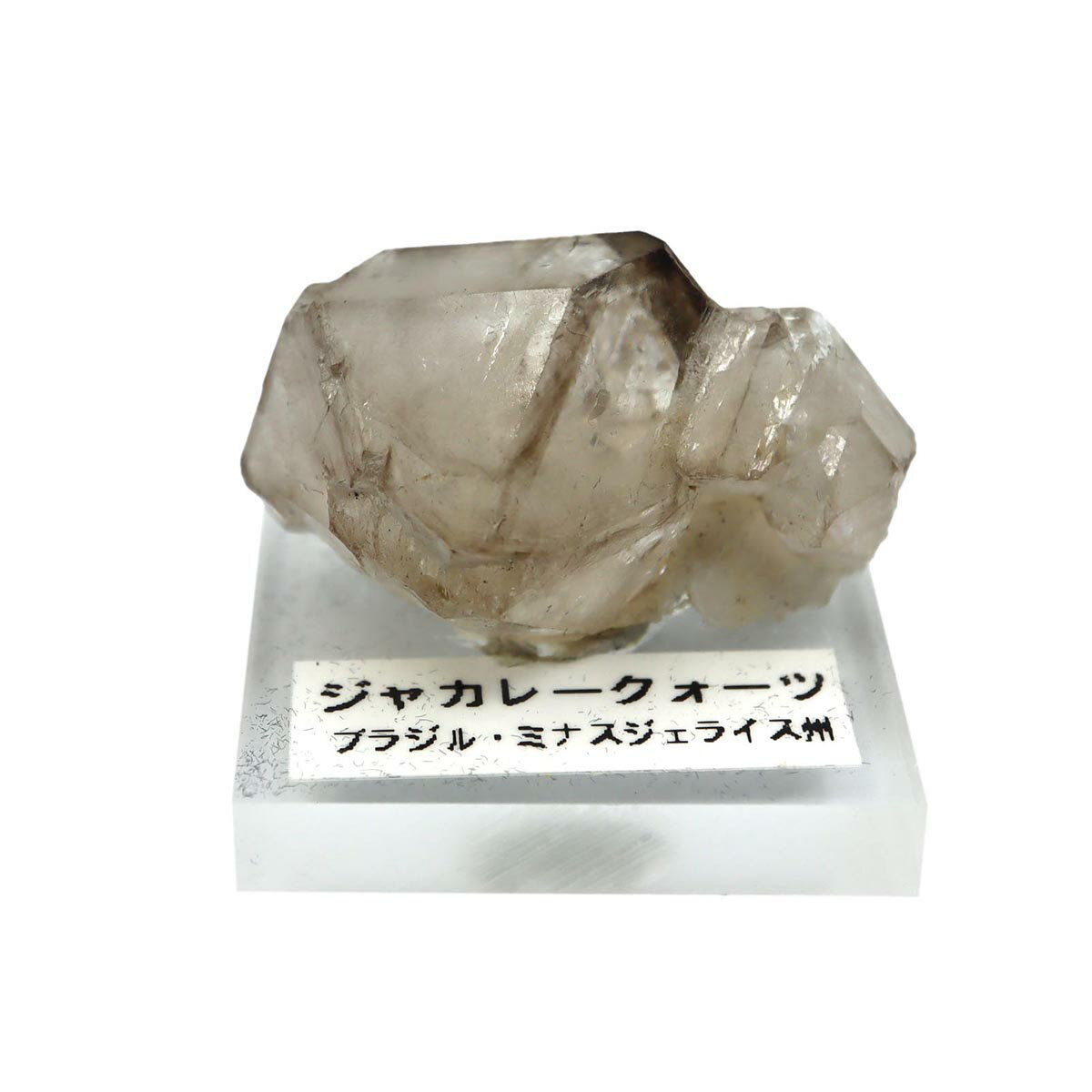 楽天市場】ワニ水晶の通販