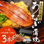 ギフト プレゼント うなぎ 蒲焼き 3尾 国産 鹿児島産 （1尾あたり160g前後〜200g） 錦糸卵100g、お吸い物3人前、たれ山椒3人前