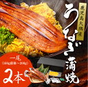 うなぎ 蒲焼き 2尾 国産 鹿児島産 (1尾あたり160g前...