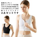 和装ブラジャー 胸つぶし 2点セット 胸潰し ブラ ナベシャツ なべしゃつ 胸を小さく見せるブラ 補正下着 揺れない スポーツブラ バスト押さえ 前フ