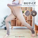 フェイクタイツ 肌色 BIGサイズ タイツ 800/1200 裏起毛タイツ 裏起毛 発熱 厚手 素肌感 ストッキング見えタイツ 防寒着 秋冬 美脚 暖かい 冬