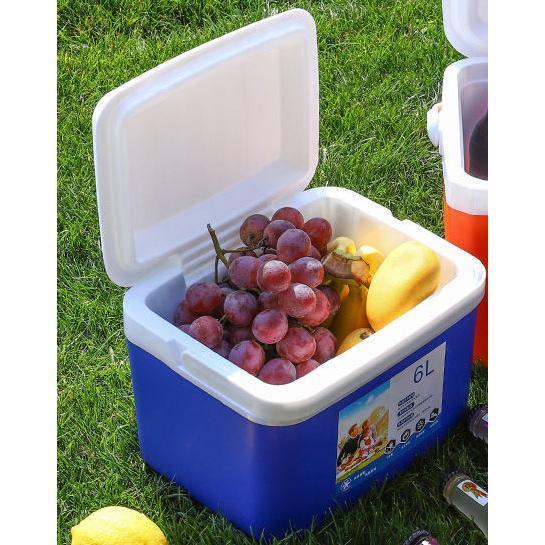 6L クーラーボックス 小型 かわいい 収納ボックス 保冷力 クーラーバッグ クーラーBOX 釣り フィッシン..