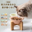 犬 猫 食器 犬 餌入れ フードボウル 食器台 スタンド付き フードボウルスタンドセット 水飲み器 餌皿 エサ皿 ペット 陶器 高い 高さがある ペット用