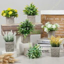 人工観葉植物 フェイクグリーン ミニポット グリーン 観葉植物 人工観葉植物 フェイクグリーン お祝い 店飾り 造花 卓上 置物 田園風 インテリア飾り
